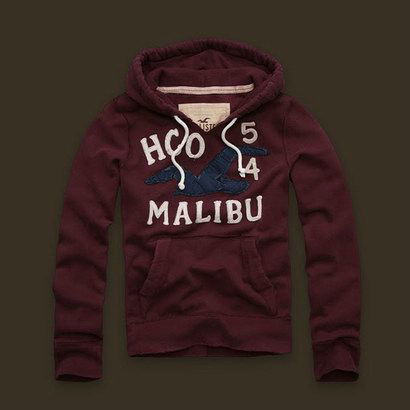 Sweat & Hoody Hollister Homme Pas Cher